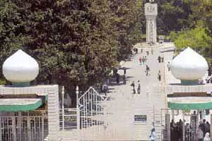 الجامعة الاردنية