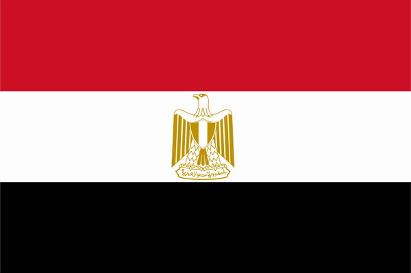 مصر: الانتخابات الرئاسية والبرلمانية واختيار مرشد جديد للاخوان المسلمين