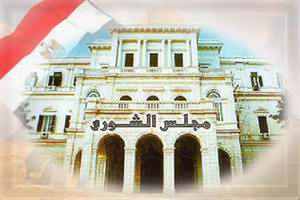 مصر: حزب «الجبهة» يقرر مقاطعة الانتخابات البرلمانية 2010